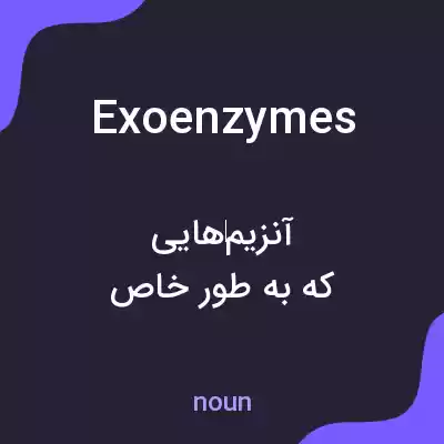 معنی exoenzymes به فارسی معنی exoenzymes به فارسی