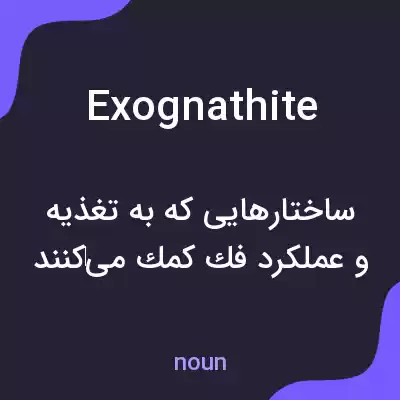 معنی exognathite به فارسی معنی exognathite به فارسی