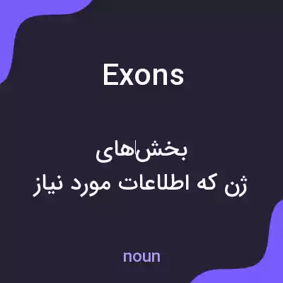 معنی exons به فارسی معنی exons به فارسی