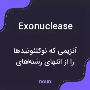 معنی exonuclease به فارسی معنی exonuclease به فارسی