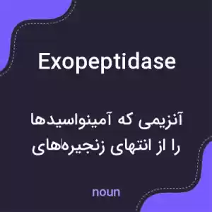 معنی exopeptidase به فارسی معنی exopeptidase به فارسی