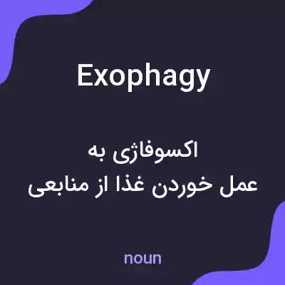 معنی exophagy به فارسی معنی exophagy به فارسی