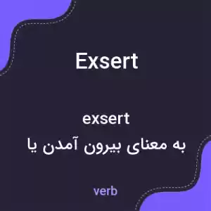 معنی exsert به فارسی معنی exsert به فارسی