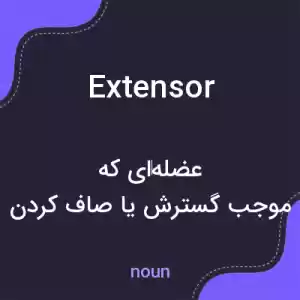 معنی extensor به فارسی معنی extensor به فارسی