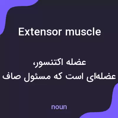 معنی extensor muscle به فارسی معنی extensor muscle به فارسی