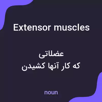 معنی extensor muscles به فارسی معنی extensor muscles به فارسی