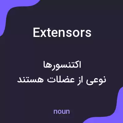 معنی extensors به فارسی
