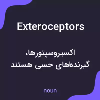 معنی exteroceptors به فارسی معنی exteroceptors به فارسی