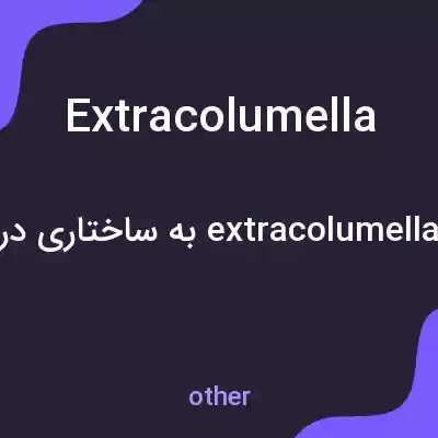 معنی extracolumella به فارسی معنی extracolumella به فارسی