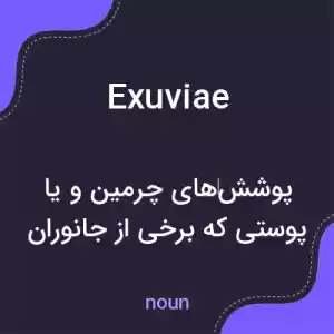معنی exuviae به فارسی معنی exuviae به فارسی
