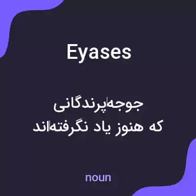 معنی eyases به فارسی معنی eyases به فارسی