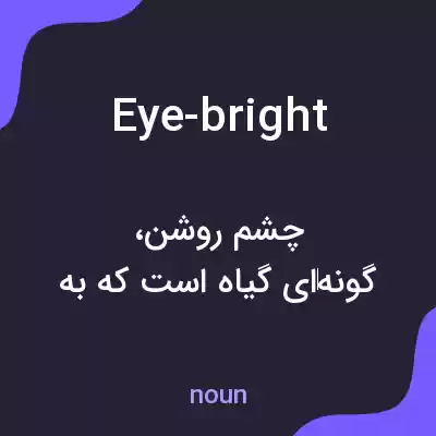 معنی eye-bright به فارسی معنی eye-bright به فارسی