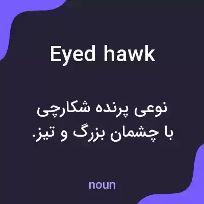 معنی eyed hawk به فارسی