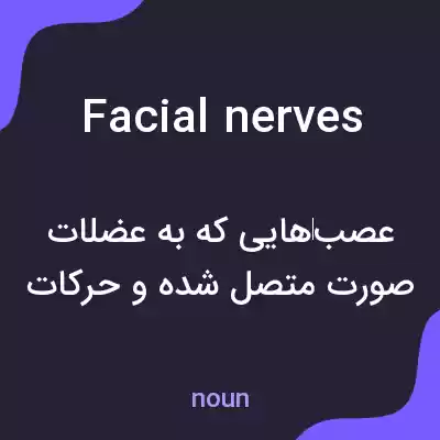 معنی facial nerves به فارسی معنی facial nerves به فارسی