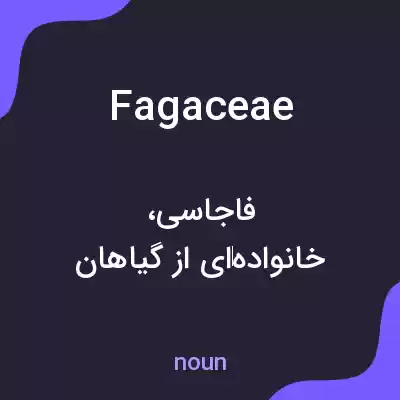 معنی fagaceae به فارسی معنی fagaceae به فارسی