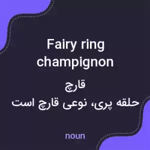 معنی fairy ring champignon به فارسی معنی fairy ring champignon به فارسی