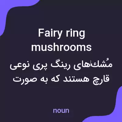 معنی fairy ring mushrooms به فارسی معنی fairy ring mushrooms به فارسی