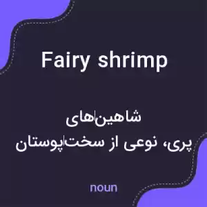 معنی fairy shrimp به فارسی معنی fairy shrimp به فارسی