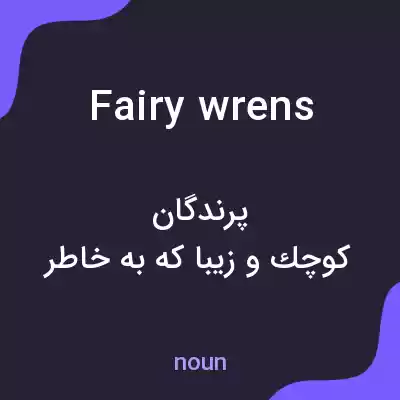 معنی fairy wrens به فارسی معنی fairy wrens به فارسی