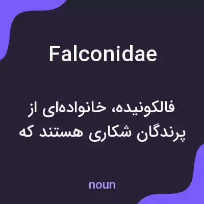 معنی falconidae به فارسی معنی falconidae به فارسی