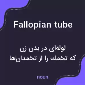 معنی fallopian tube به فارسی معنی fallopian tube به فارسی