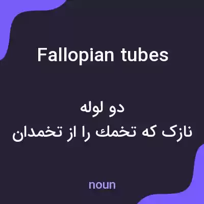 معنی fallopian tubes به فارسی معنی fallopian tubes به فارسی