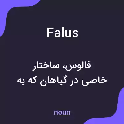 معنی falus به فارسی معنی falus به فارسی