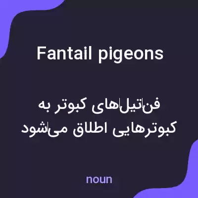 معنی fantail pigeons به فارسی معنی fantail pigeons به فارسی