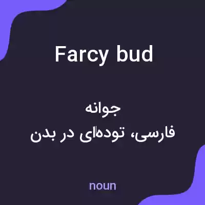 معنی farcy bud به فارسی معنی farcy bud به فارسی