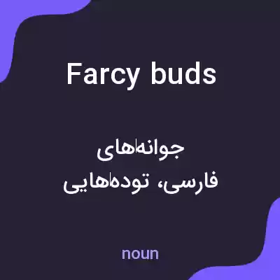 معنی farcy buds به فارسی