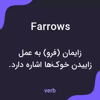 معنی farrows به فارسی معنی farrows به فارسی