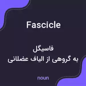 معنی fascicle به فارسی معنی fascicle به فارسی