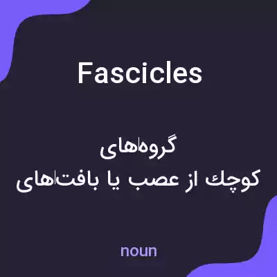 معنی fascicles به فارسی معنی fascicles به فارسی