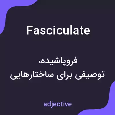 معنی fasciculate به فارسی معنی fasciculate به فارسی