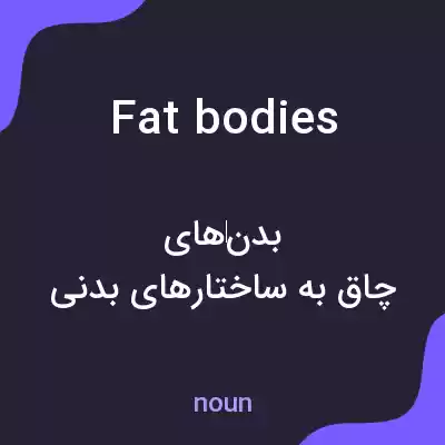 معنی fat bodies به فارسی معنی fat bodies به فارسی