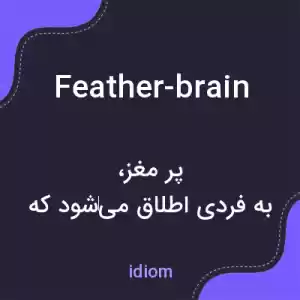 معنی feather-brain به فارسی معنی feather-brain به فارسی