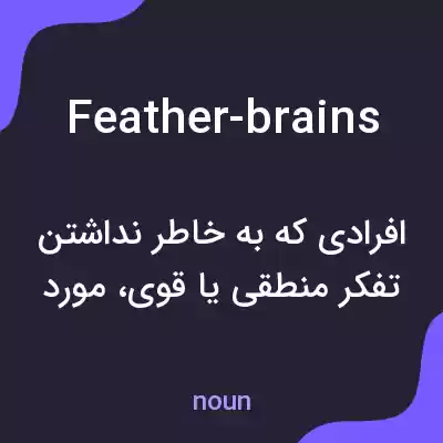 معنی feather-brains به فارسی معنی feather-brains به فارسی