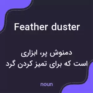 معنی feather duster به فارسی معنی feather duster به فارسی