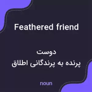 معنی feathered friend به فارسی معنی feathered friend به فارسی