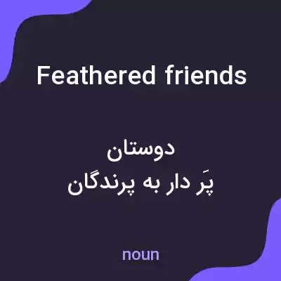 معنی feathered friends به فارسی معنی feathered friends به فارسی