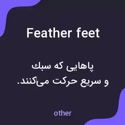 معنی feather feet به فارسی معنی feather feet به فارسی