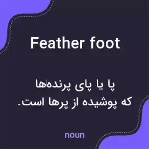 معنی feather foot به فارسی