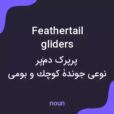 معنی feathertail gliders به فارسی معنی feathertail gliders به فارسی