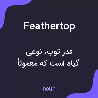معنی feathertop به فارسی معنی feathertop به فارسی