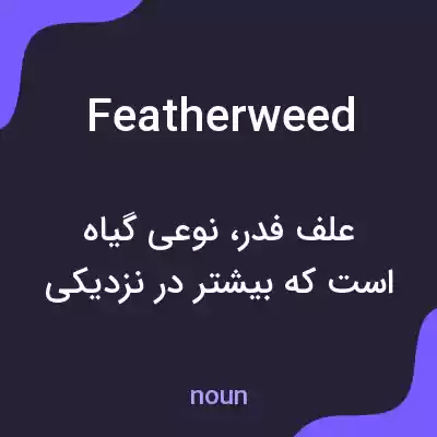 معنی featherweed به فارسی معنی featherweed به فارسی