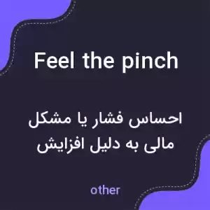 معنی feel the pinch به فارسی معنی feel the pinch به فارسی