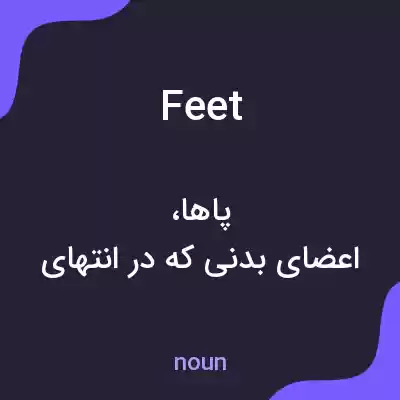 معنی feet به فارسی معنی feet به فارسی