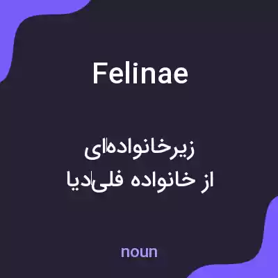 معنی felinae به فارسی معنی felinae به فارسی