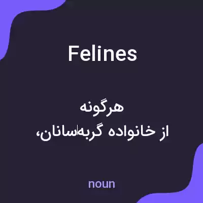معنی felines به فارسی معنی felines به فارسی