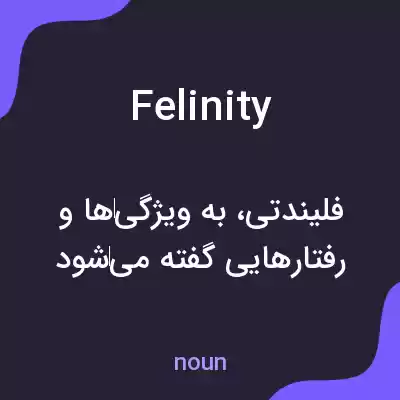 معنی felinity به فارسی معنی felinity به فارسی